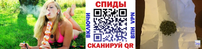 Бутират бутандиол  Купить  Пудож 