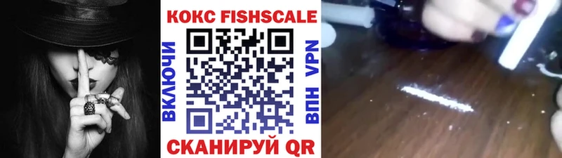 Купить закладки  Пудож  Cocaine FishScale 