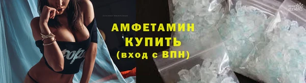 стафф Касимов