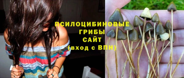 PSILOCYBIN Каменка