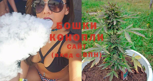 прущие крисы Каменногорск