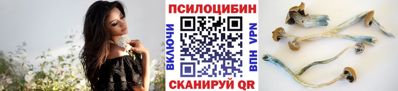 Галлюциногенные грибы Psilocybine cubensis  Купить закладки  Пудож 